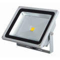 LED-Projektionsleuchte 30W IP65